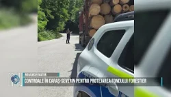 Inspections in Caraș-Severin to Protect Forest Resources