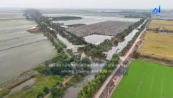 Tay Ninh issues regulations on structures built on rice farmland
