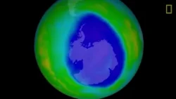 What Happened to the Ozone Layer? Progress and Remaining Challenges 🌎