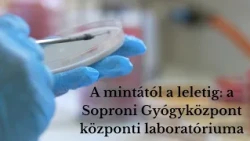 A mintától a leletig