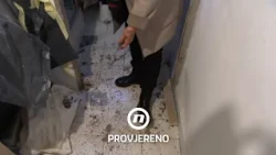 Zube je prala 50 puta dnevno, a voda joj je bila opsesija: Danas je sve drugačije | Provjereno