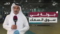 A Tour of the Fish Market: Discovering Daily Prices | Sabah Al Doha