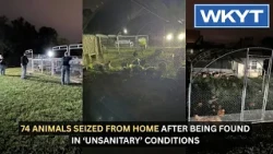 74 animals seized from home after being found in ‘unsanitary’ conditions