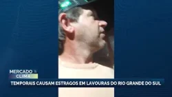 Severe storms cause damage to crops in Rio Grande do Sul