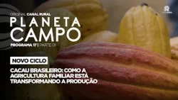 Brazilian Cocoa: Family Farming Is Transforming Production | Planeta Campo - Ep. 17/1