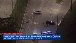 Deadly wrong-way crash closes part of DuSable Lake Shore Drive for hours