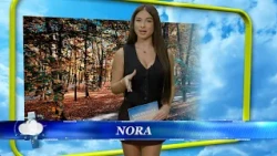 VREMENSKA PROGNOZA ZA 29.09.2026. NORA