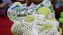 Tay Ninh Paves the Way for Sustainable Agricultural Development