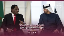 رئيس الدولة ورئيس زامبيا يبحثان تعزيز علاقات التعاون بين البلدين