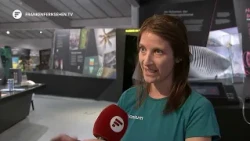 New experience tunnels at Nuremberg Zoo: Getting to know the denizens of the deep sea
