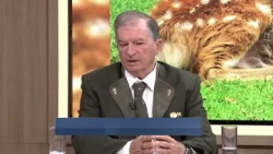 VIJESTI U POLA 7 - SRNE ĆE BITI ZAŠTIĆENE | Vijesti online