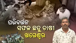 ସଫଳ ଛତୁ ଚାଷୀ ଖଗେଶ୍ୱରଙ୍କ ସଫଳତାର କାହାଣୀ | Mushroom Farming | Krishi Darshan | DD Odia