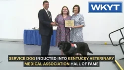 Service dog inducted into Kentucky Veterinary Medical Association Hall of Fame