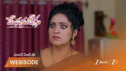Meghasandesam | EP - 740 | Webisode 2 | Sep 23 2026 | Zee Telugu