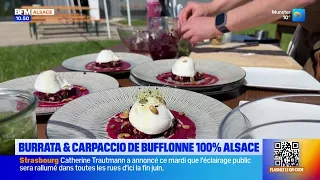 Burrata and mozzarella... made in Alsace