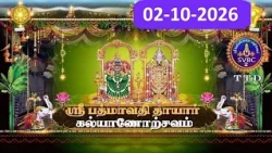 Sri Padmavathi Ammavari || Kalyanotsavam || Tiruchanoor || 02-10-2026 || SVBC2 Tamil || SVBC TTD