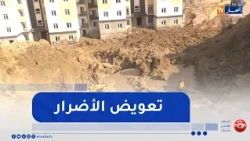 Water Main Burst in Boumerdès: 48-Hour Deadline for Repairs
