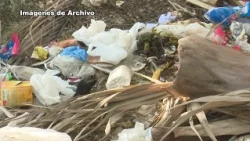 Authorities in #LasTunas urge stricter sanitation measures due to dengue vector