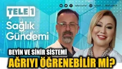 Can the brain and nervous system learn pain? Prof. Dr. Serbülent Gökhan Beyaz explains