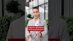 Pheu Thai reaffirms commitment to creative economy and Soft Power despite PM rejecting THACCA bill