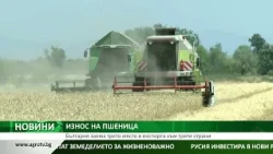 ИЗНОС НА ПШЕНИЦА: България заема трето място в експорта към трети страни