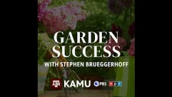 Garden Success — Zinnias, Stress-Shedding Oaks, and Getting the Fall Garden Started