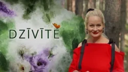 Dzīvīte S12E3