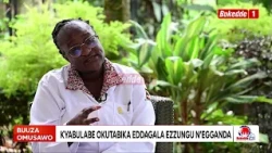Buuza Omusawo Obulabe, n'enzijanjaba ya Kkookolo mu Baana Prt 2