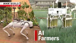 Sizzling Japan summers push farmers into AI robot ageーNHK WORLD-JAPAN NEWS