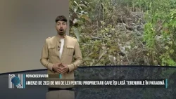 TENS OF THOUSANDS OF LEI IN FINES FOR PROPERTY OWNERS WHO LEAVE THEIR LAND OVERGROWN