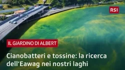 Cyanobacteria and toxins: Eawag research in our lakes | Il Giardino di Albert | RSI