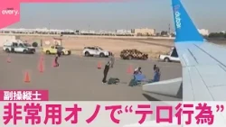 【イスラエル行き旅客機緊急着陸】副操縦士が非常用オノで“テロ行為”