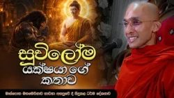 සූචිලෝම යක්ෂයාගේ කතාව (සූචිලෝම සූත්‍රය) | මහමෙව්නාව අසපුව - මාස්පොත | VenAnkubure Amithadeepa Thero