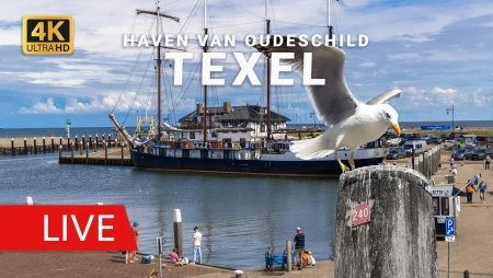 Live at Oudeschild Harbor, Texel