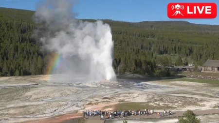 Old Faithful Geyser Live from Yellowstone National Park